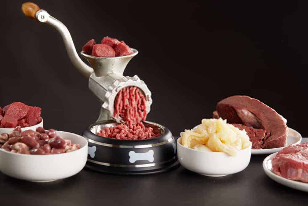 Top and Best Deer Meat Grinders for Deer and Best Deer Meat Grinders, Good Meat Mincer. Good and Best Meat Grinders for Deer and Good Top Meat Mincer. Top and Best Deer Meat Grinders for Deer and Good Meat Mincer. Good and Best Meat Grinders for Deer and Good Meat Mincer.